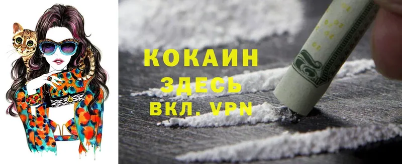 купить наркотики сайты  Вытегра  Cocaine VHQ 